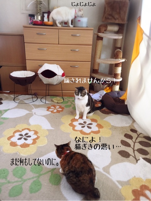 {492BDC6E-B415-4873-8F55-5E20BFF8AEFC}