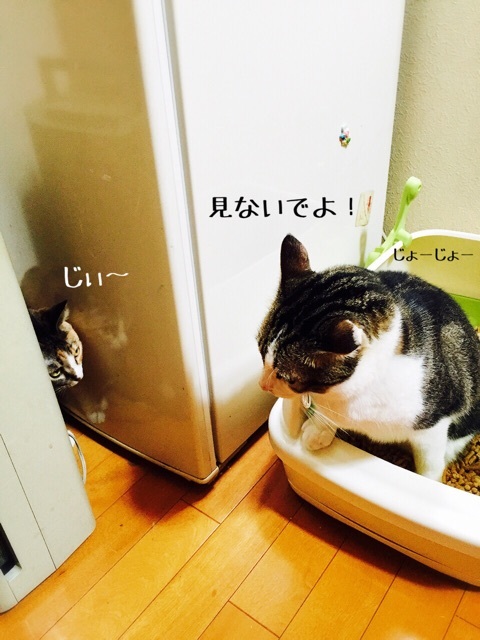 {6433FA4F-8FC7-472C-A813-ADA7991A996F:01}