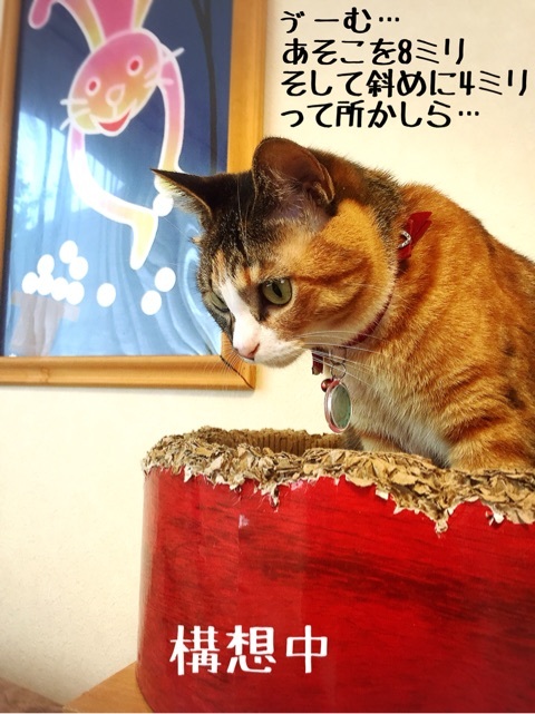 {6DC7938C-878E-4E39-B3B8-F136BFA7094F:01}
