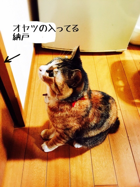 {B65A8F60-4F27-4EA8-AD8D-1947A2DCF3EE:01}