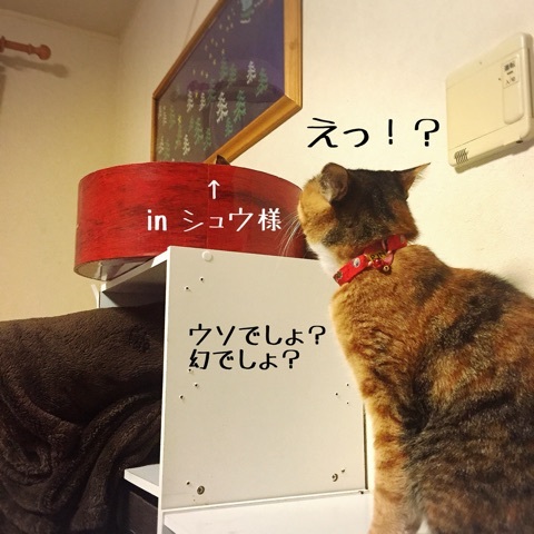 {BB73762A-B5F1-484B-A95A-1B8DF444B68E:01}