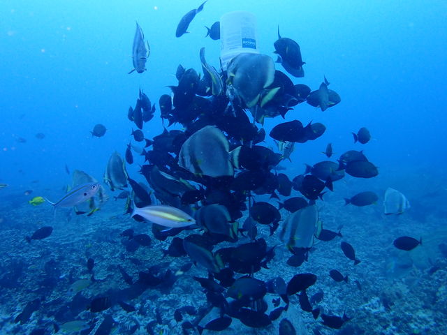 24C645E7-31CE-448B-A9FB-F22C59119683