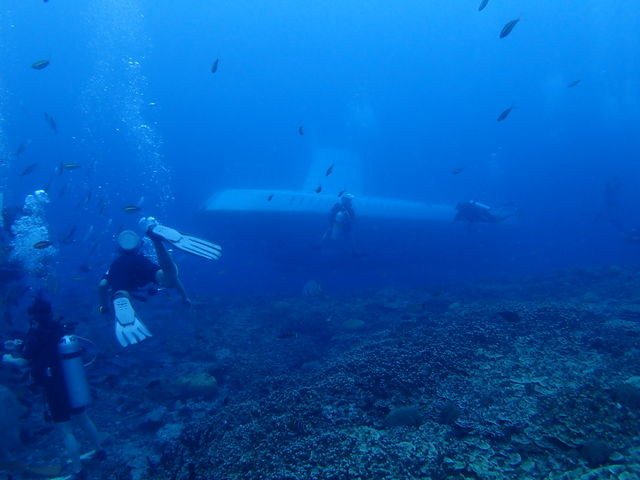 A02FB5B0-4A59-4259-8F8E-7C4D91B82801