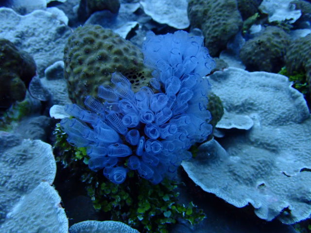 C7FD0F8B-C39D-4665-9857-DFCB3A5E1217