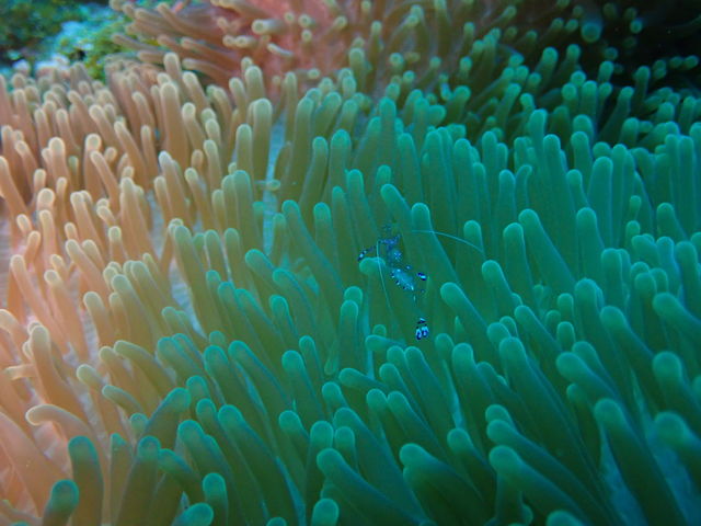 AD6E7384-7FFD-49D3-9CD1-821C7EA60DF8