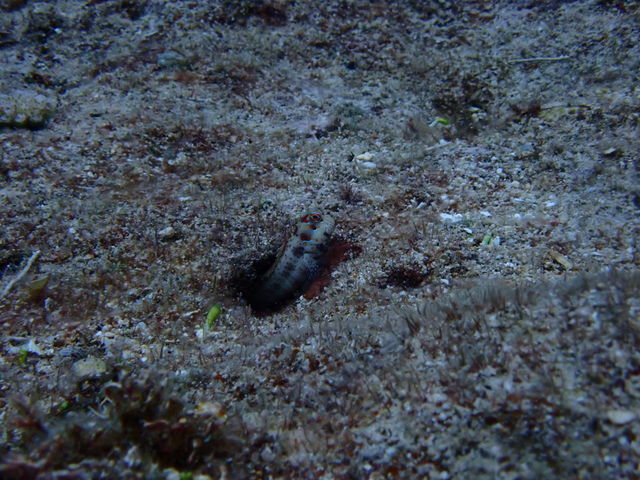 3DADCF61-BB63-4671-9972-1B7A79BA7547