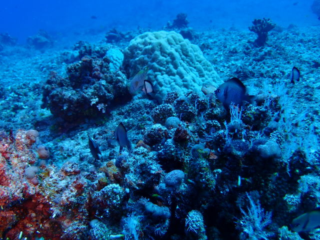 2223D3A3-51D2-429B-B8D1-F74023C767E6