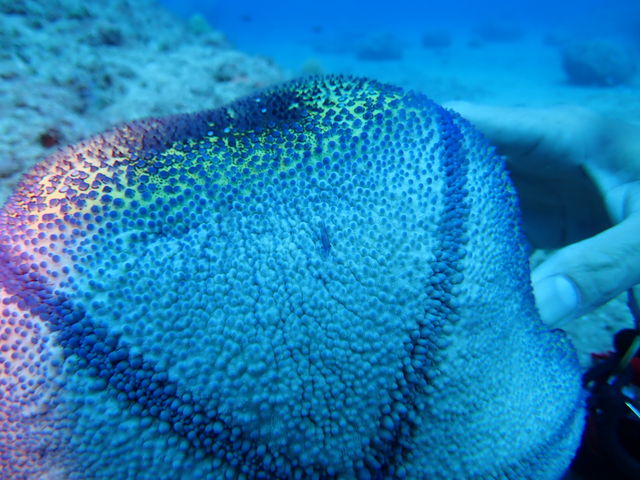 D88E8310-76C2-47BF-96E9-1B5BE984D83D