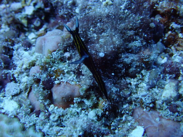 6AFD925E-23B4-40E2-958C-8D5645C7082B