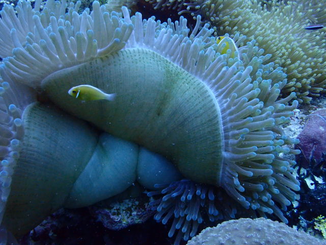 4ADE5EB7-1E5B-4B23-B631-1CEA4686F82F