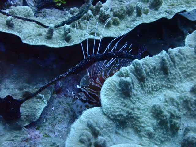 F96FB20D-28A6-42AF-ADBA-D060CC04D836