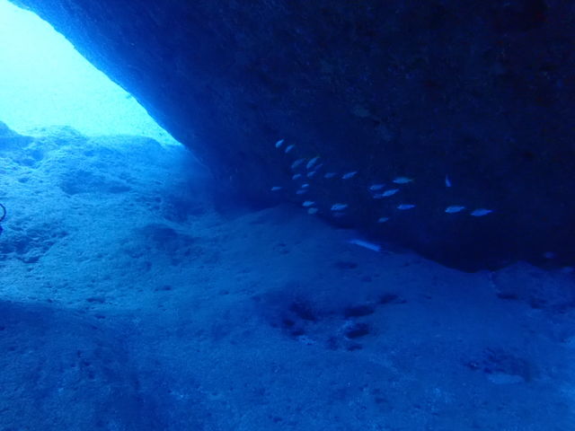 AF861AE0-F656-4618-A75E-FC97A57B6D27