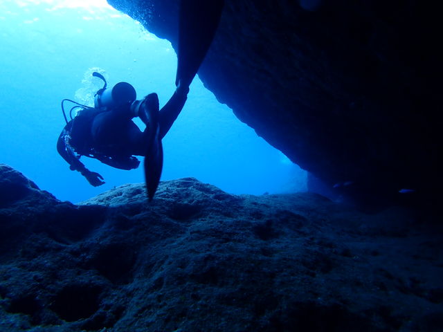 5CBF2227-BD4B-4C01-BEE3-93FFDC55A39F