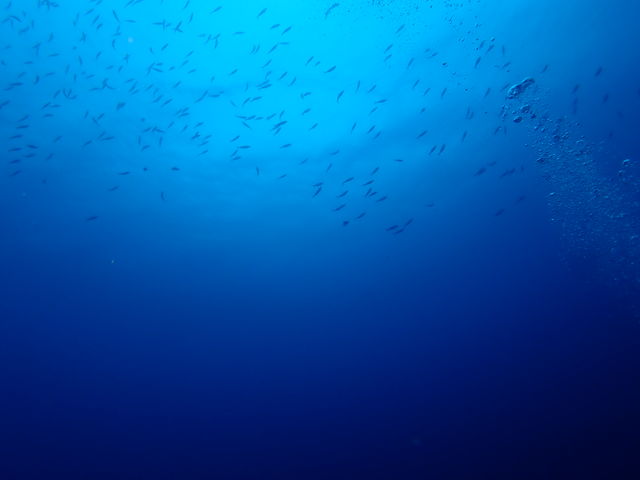 A9508FB6-890B-4B38-814A-EFC0047F9723