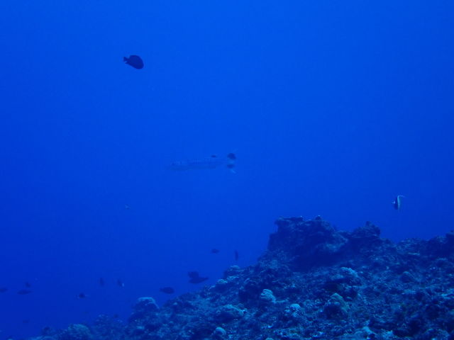 B612BC79-B5AE-4024-9A19-F7C66B4E983B