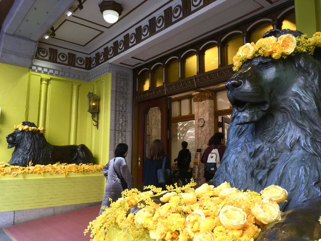 イエローライオン ちょっとソコマデ