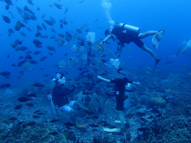 C97D4A5E-E511-4B2F-A077-5955F5F3AFB7