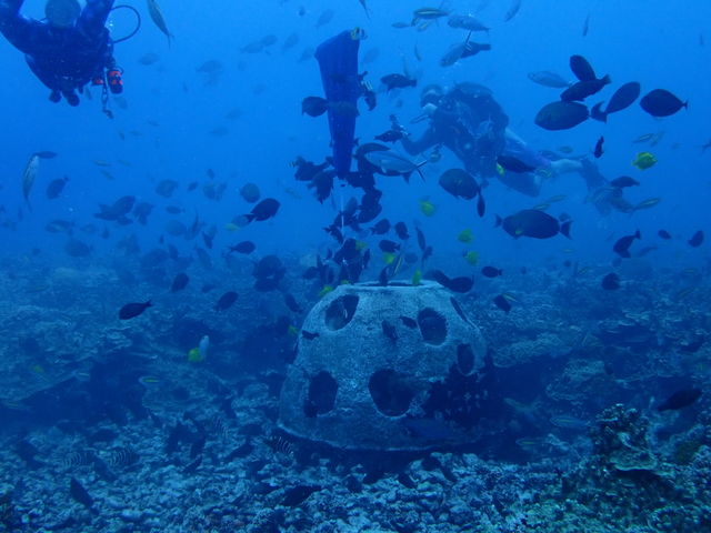 5250CF6D-ADD4-47AC-8C88-4B3D10538955