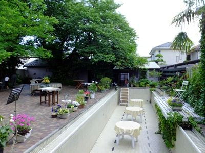 特等席はプールの中