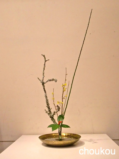 苔木とロウバイの生花新風体 : 花に想いを
