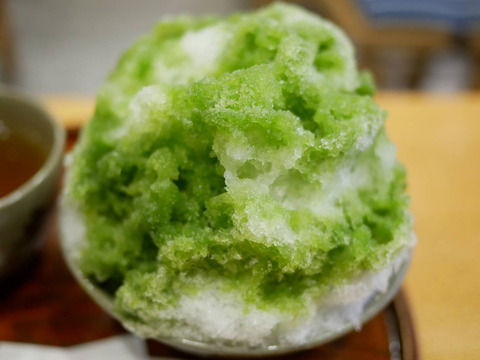 P1060074