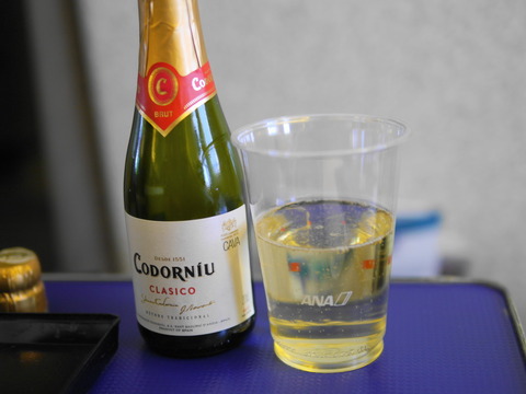 P1060048
