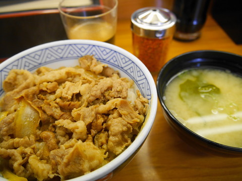 P1040045