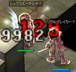 生体2ペア