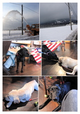 091223-2