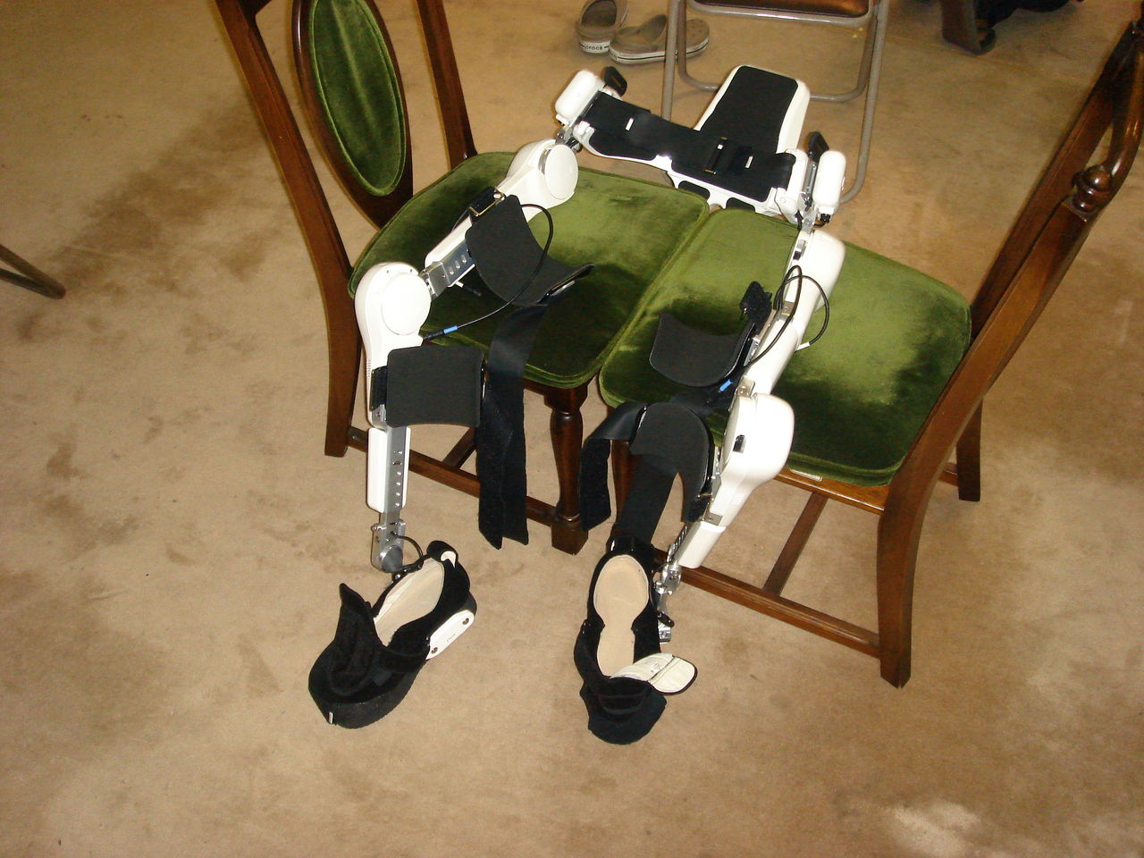 HAL 019