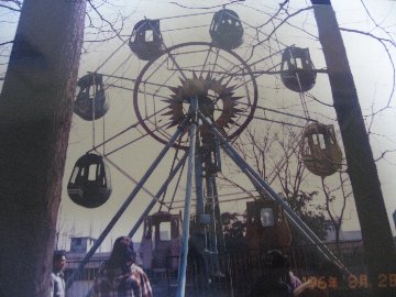 上海短期留学・公園内の観覧車