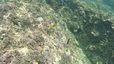 DSC00689