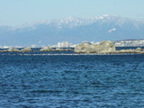 2012_0218_084931
