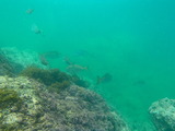 P8130792