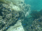P8130803