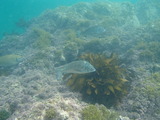 P8130825