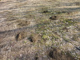 2012_0212_140017