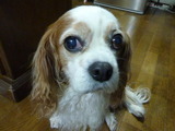2012_0217_202328