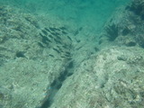 P8130781