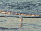 2012_0212_065438