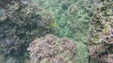 DSC00627