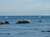 2012_0211_092716