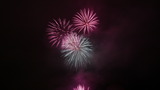 P1060554
