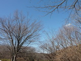 2012_0212_135010