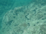 P8130779