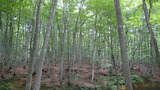 P1080781