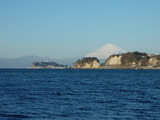 2012_0218_075330