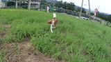 DSC00450