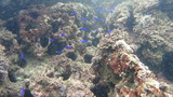 DSC00611