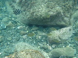 P8130840